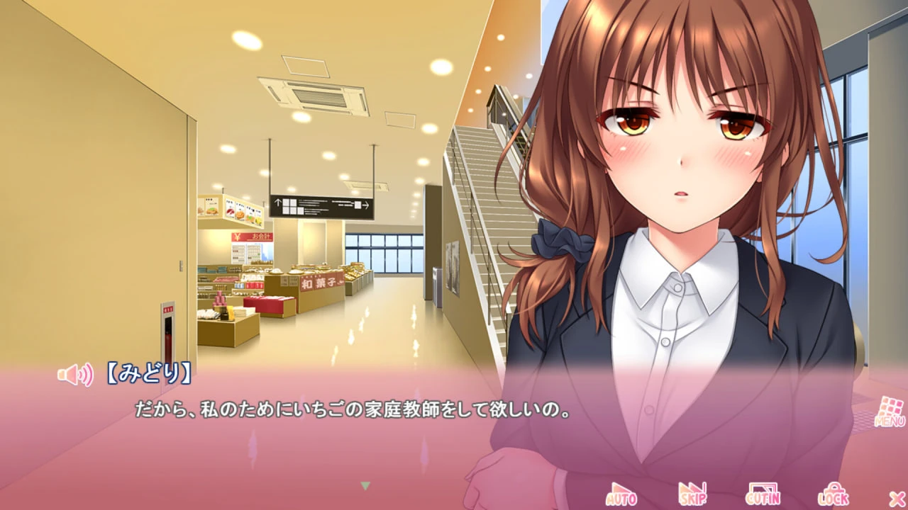 [ADV游戏/动态]义妹私教辅导~哥哥我是家庭教师~ v1.01 Steam官方中文步兵版+全CG存档2.20G