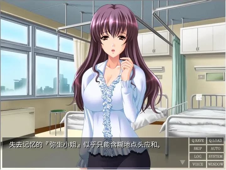 [ADV游戏]失去记忆的母全CG存档450M